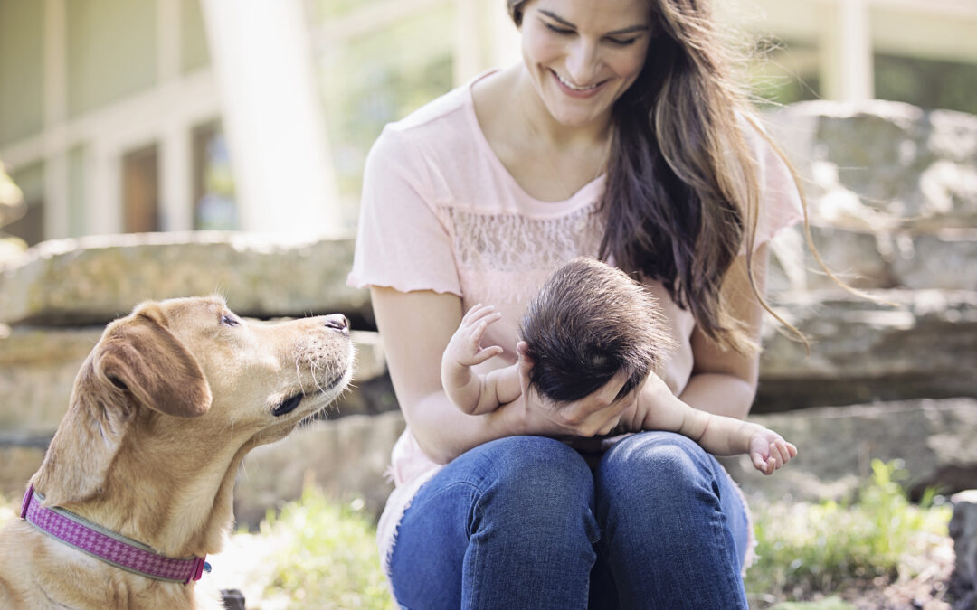 Meet a Mom: Meet Ashley Dorros, Founder of Hush Baby Sleep Consulting!